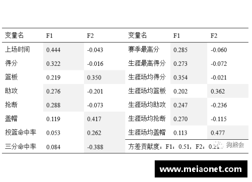 NBA球队薪资分布及其影响因素分析